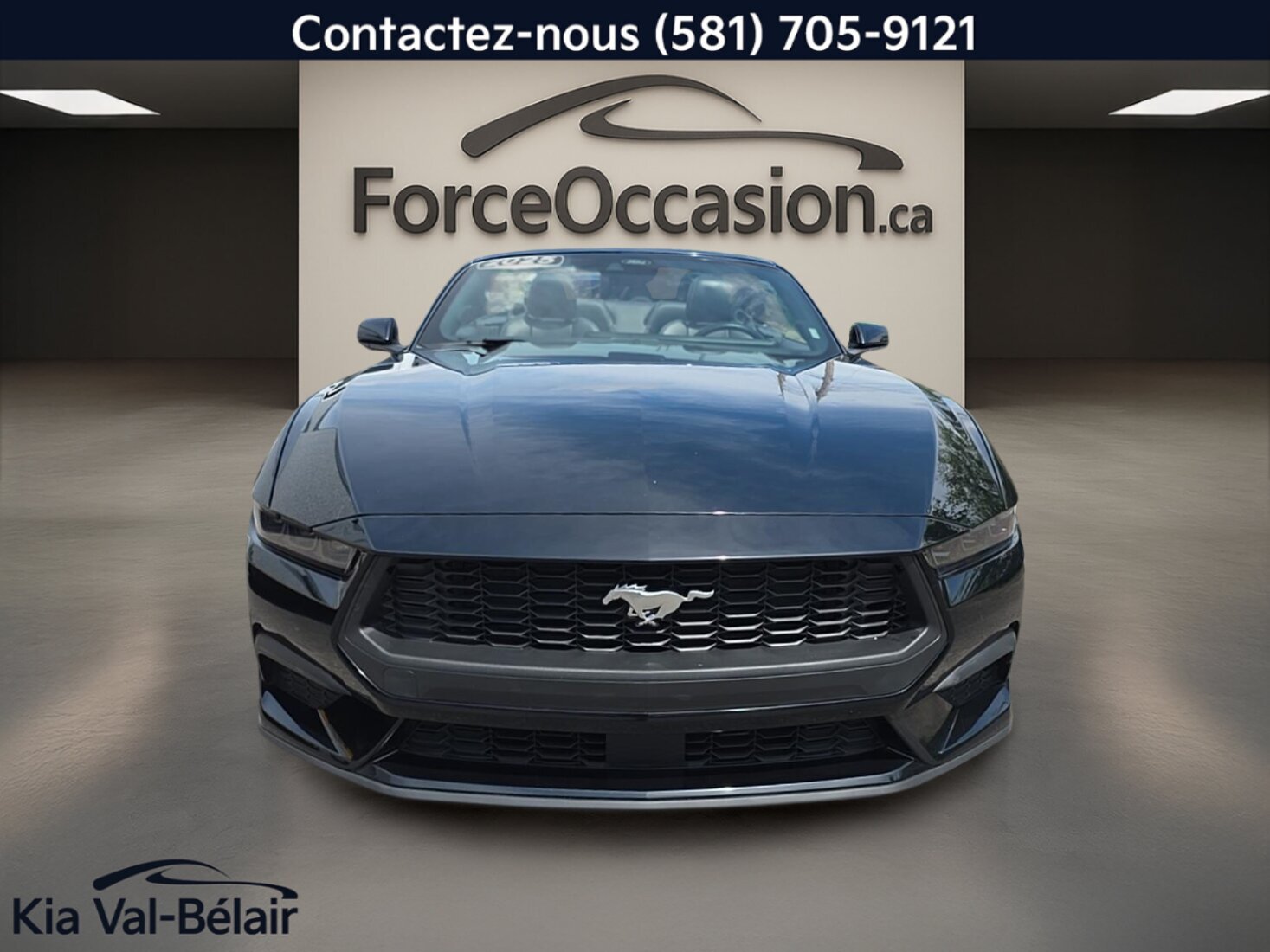 2025 Ford Mustang - Image 2
