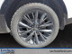 2022 Kia Sorento - Thumbnail 7
