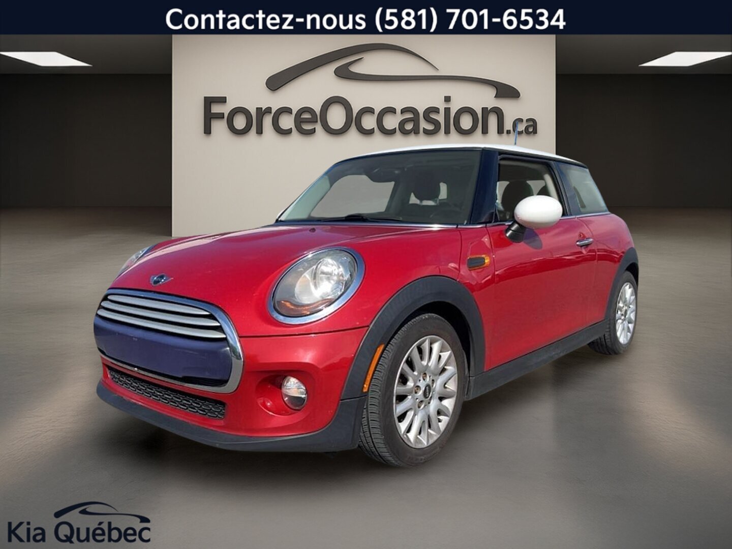 2015 MINI 1000