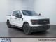 2024 Ford F-150 - Thumbnail 3