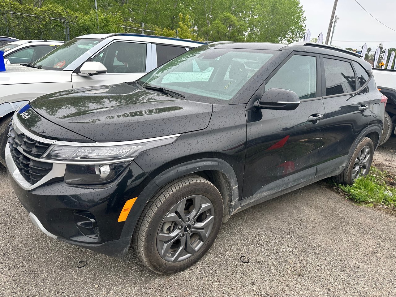 2024 Kia Seltos