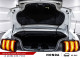 2019 Ford Mustang - Thumbnail 13