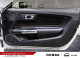2019 Ford Mustang - Thumbnail 14