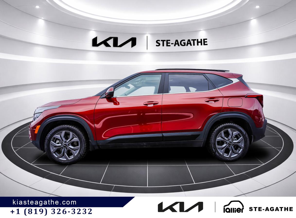 2025 Kia Seltos - Image 4