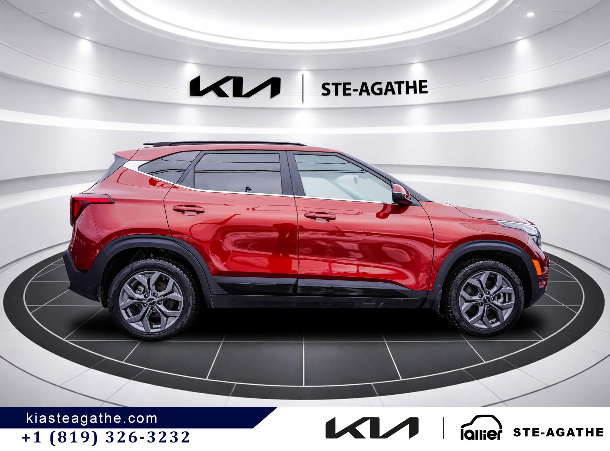 2025 Kia Seltos - Image 8