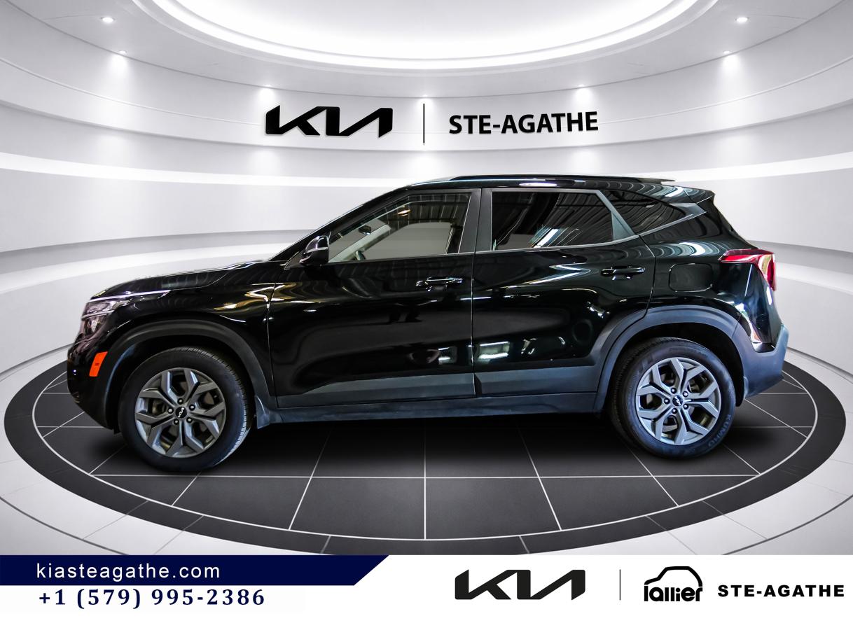 2024 Kia Seltos - Image 5