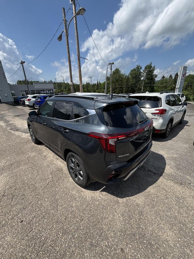 2025 Kia Seltos - Image 5