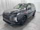 2024 Hyundai Palisade - Thumbnail 3