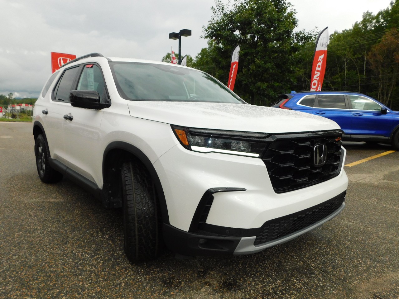 2025 Honda Pilot - Image 7