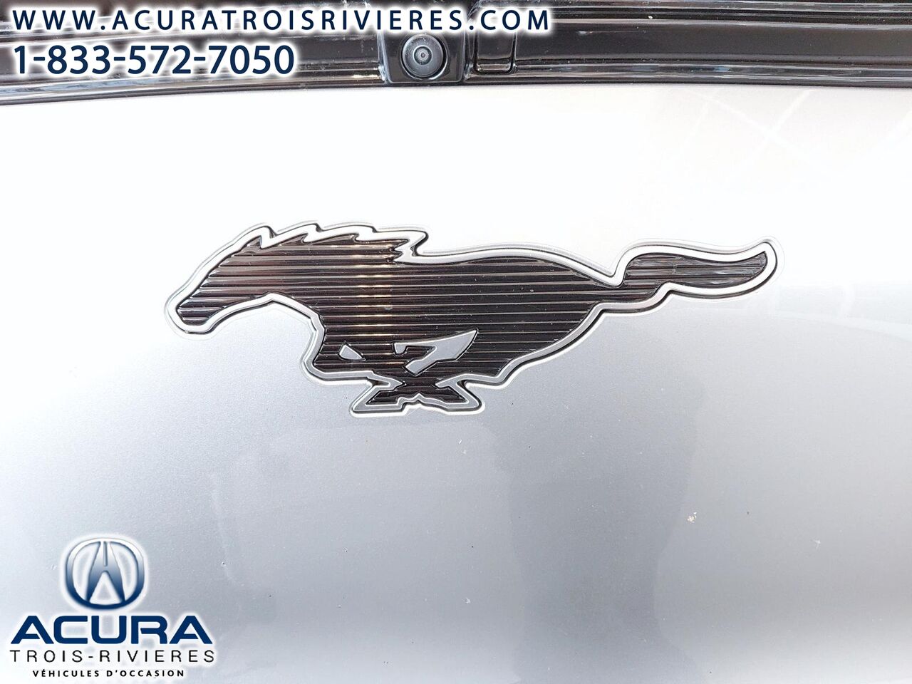 2021 Ford Mustang Mach-E X4 - Image 7