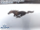 2021 Ford Mustang Mach-E X4 - Thumbnail 7