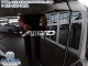 2019 Honda CR-V LX AWD - Thumbnail 8