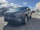 2021 Toyota RAV4 - Thumbnail 3