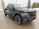 2026 Ford F-150 - Thumbnail 13