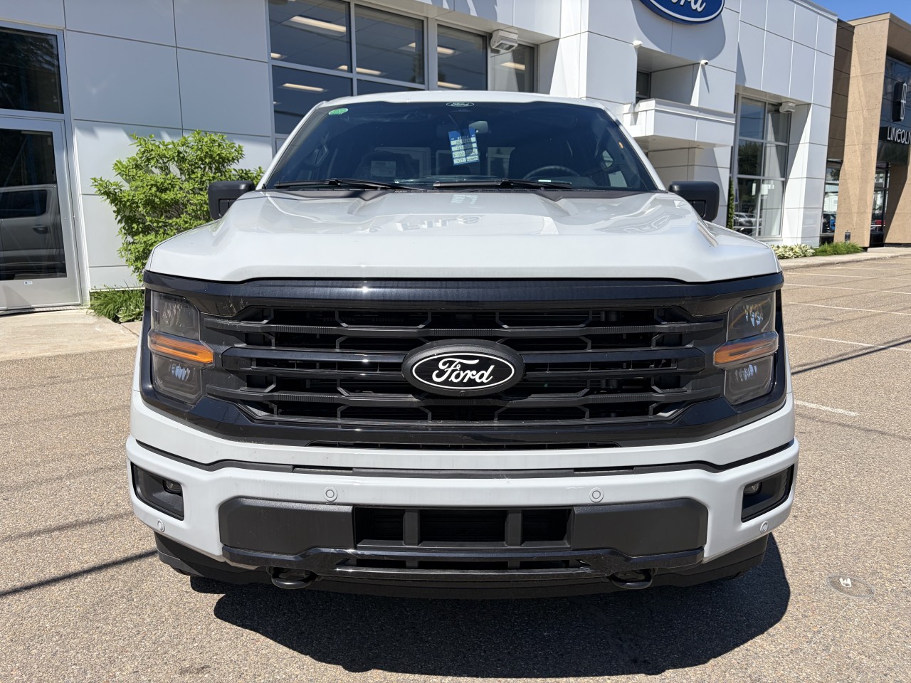 2026 Ford F-150 - Image 7