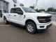 2026 Ford F-150 - Thumbnail 6