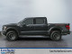 2026 Ford F-150 - Thumbnail 3