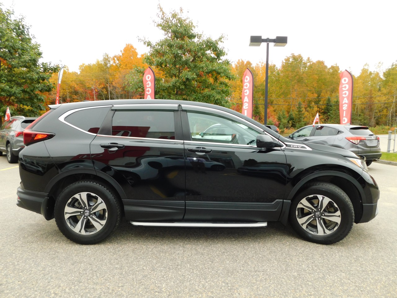 2022 Honda CR-V - Image 7