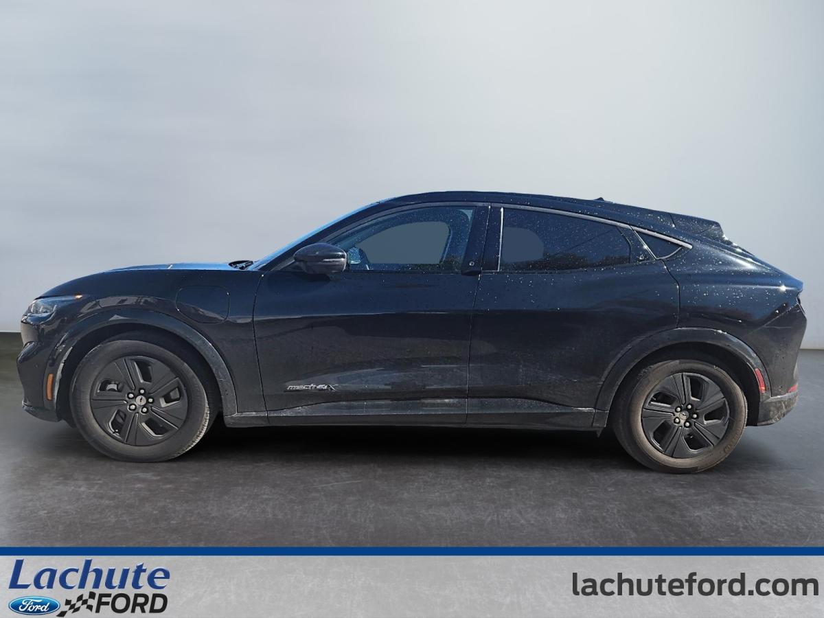 2023 Ford Mustang Mach-E - Image 6