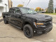 2026 Ford F-150 - Thumbnail 9