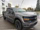 2026 Ford F-150 - Thumbnail 10