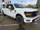 2026 Ford F-150 - Thumbnail 13