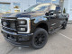 2027 Ford Super Duty F-250 SRW - Thumbnail 16