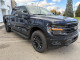 2026 Ford F-150 - Thumbnail 11