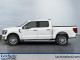 2026 Ford F-150 Hybrid - Thumbnail 3