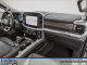 2026 Ford F-150 Hybrid - Thumbnail 11