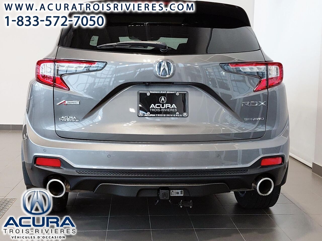 2023 Acura RDX PLATINUM CARBONE - Image 9