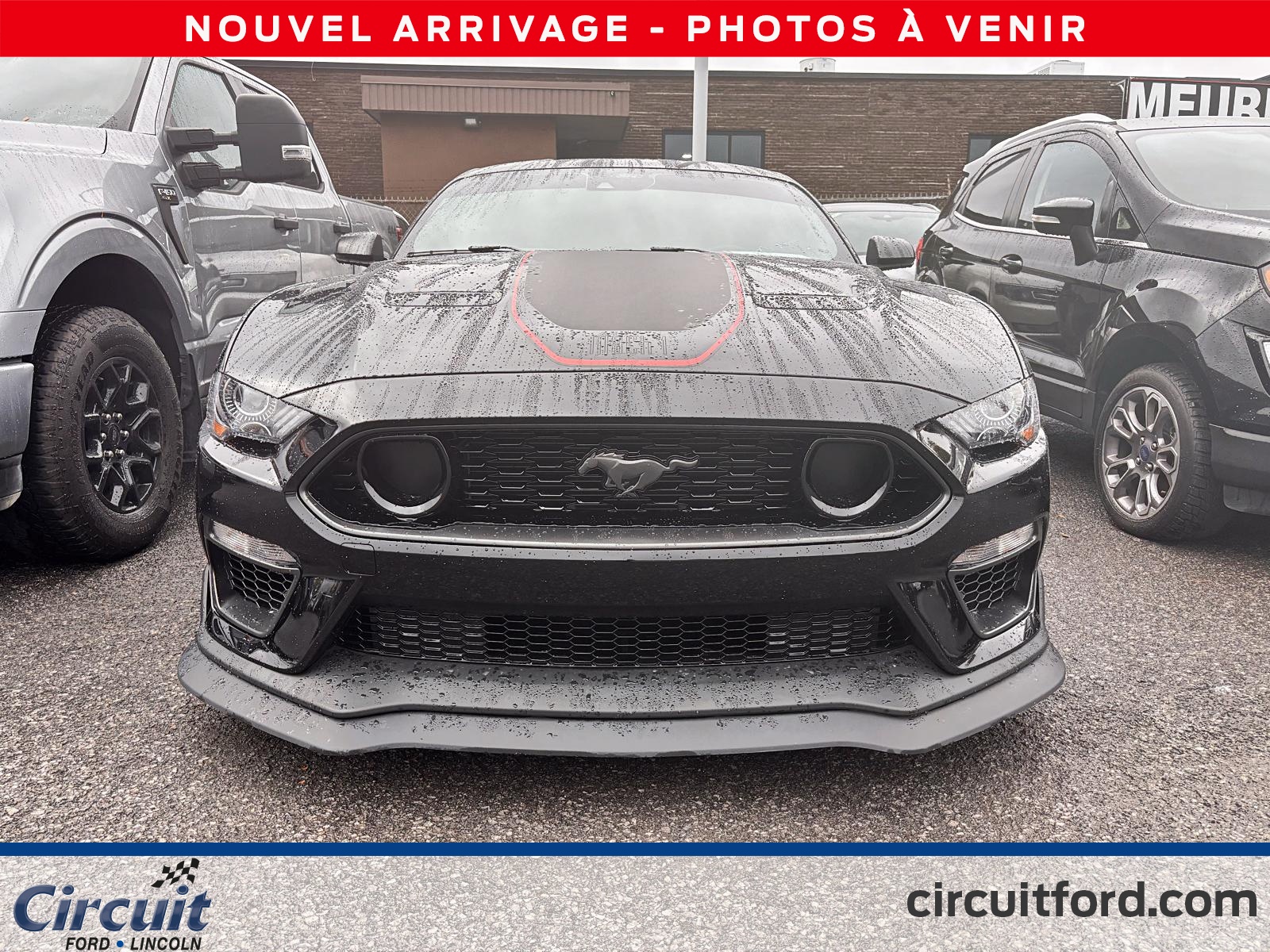 2022 Ford Mustang