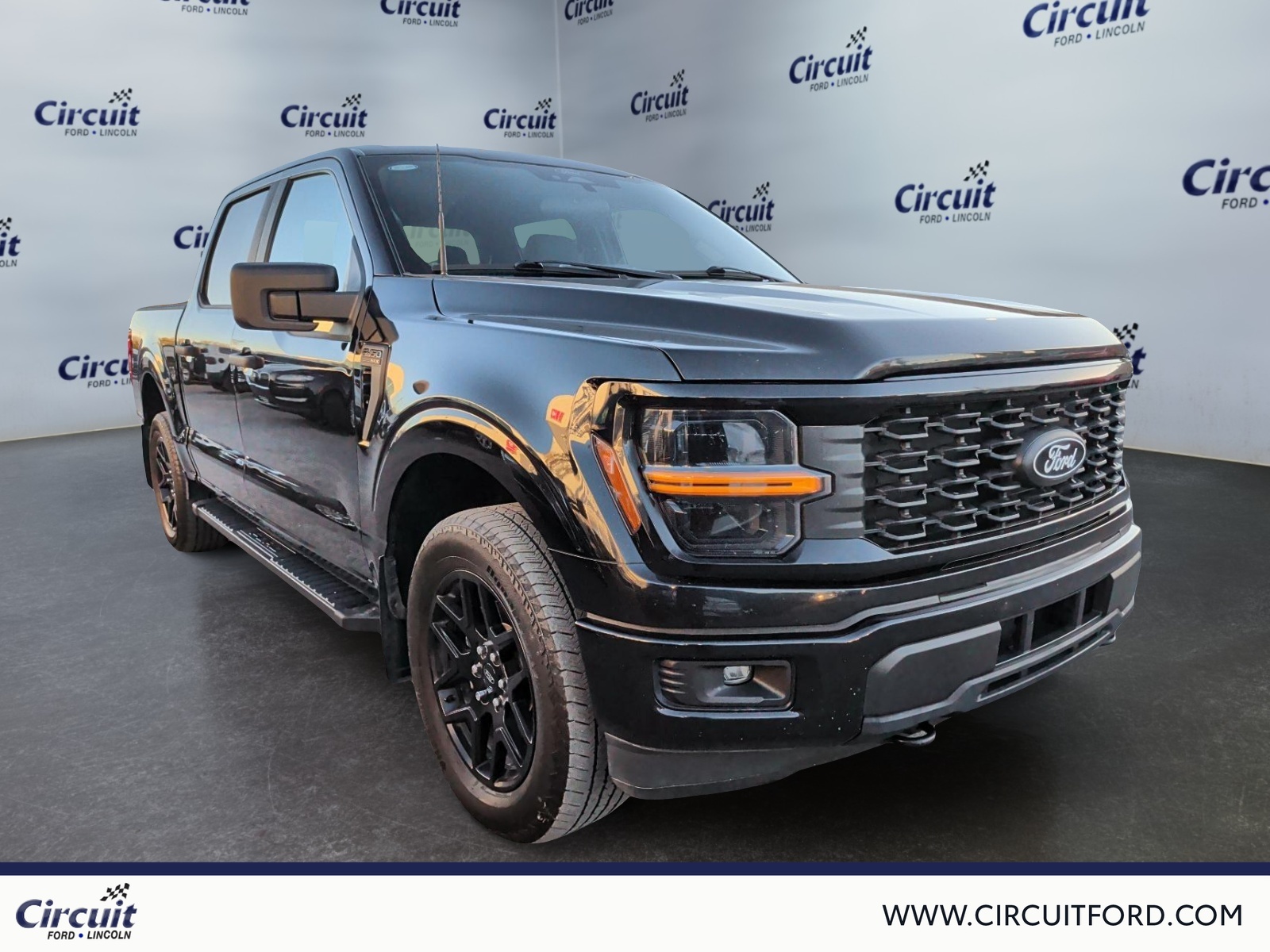 2024 Ford F-150 - Image 3