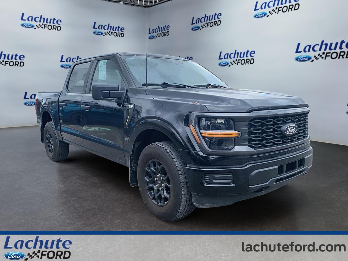 2025 Ford F-150 - Image 4