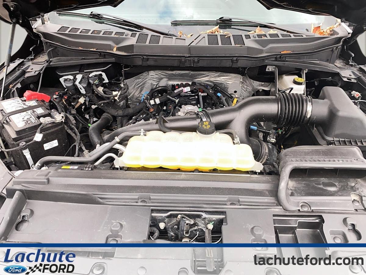 2025 Ford F-150 - Image 10