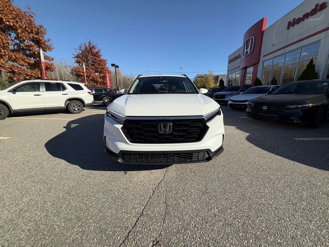 2023 Honda CR-V - Image 2