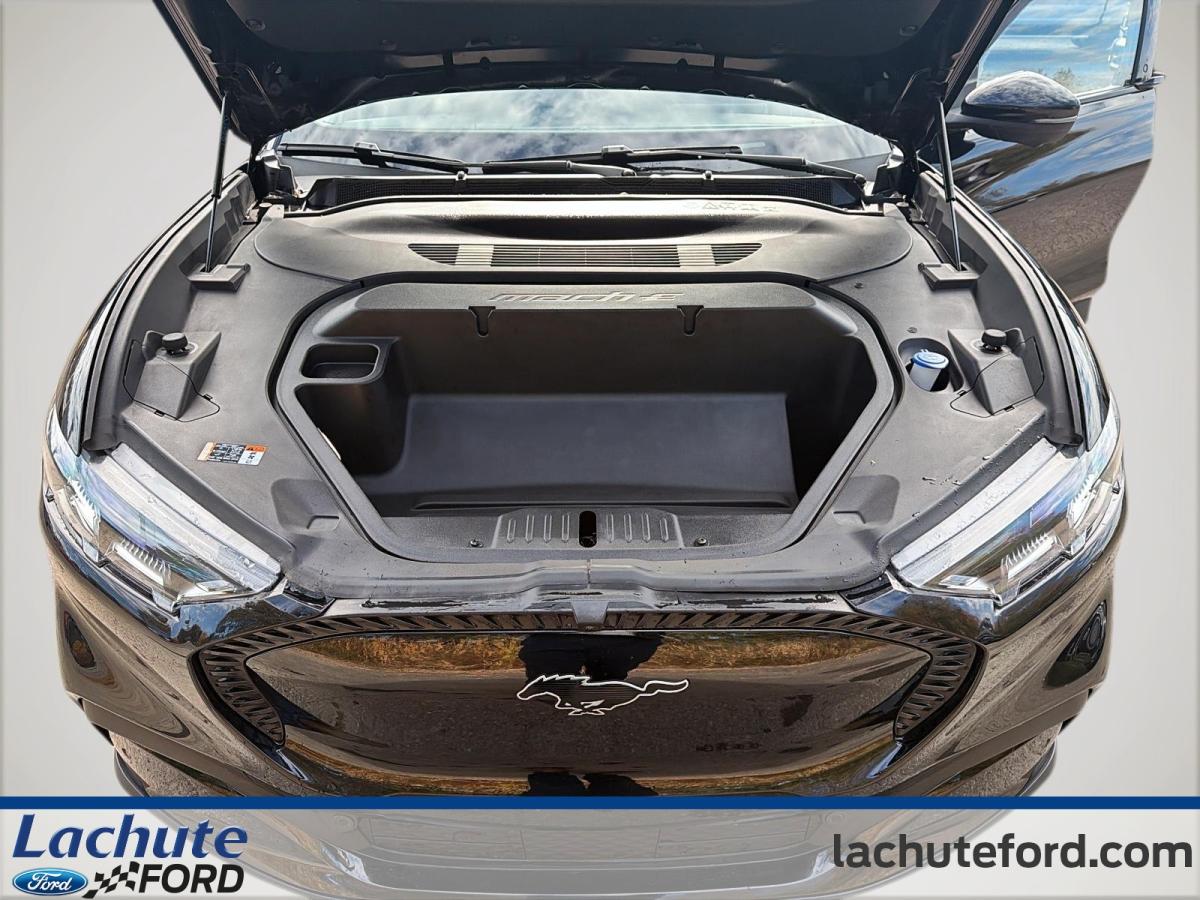 2025 Ford Mustang Mach-E - Image 10