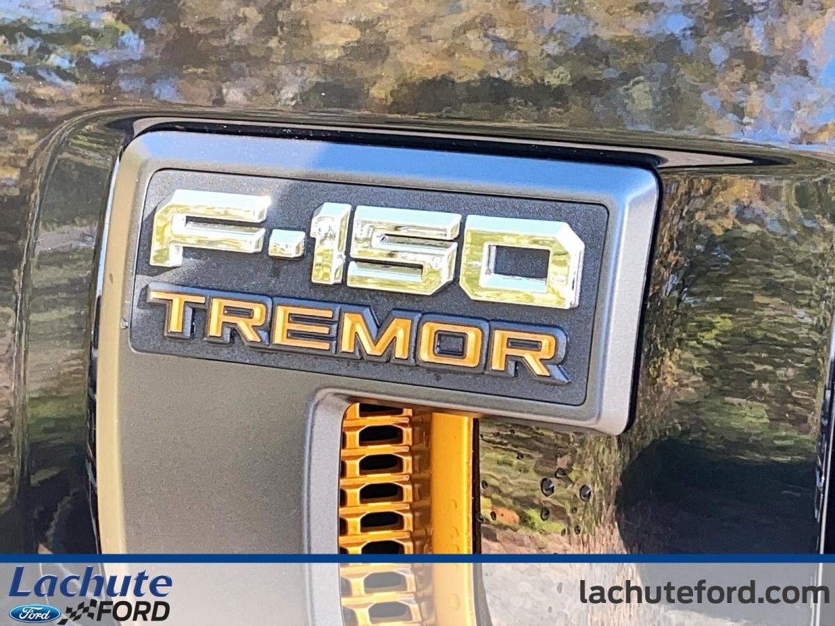 2024 Ford F-150 - Image 6