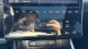 2024 Hyundai Tucson - Thumbnail 28