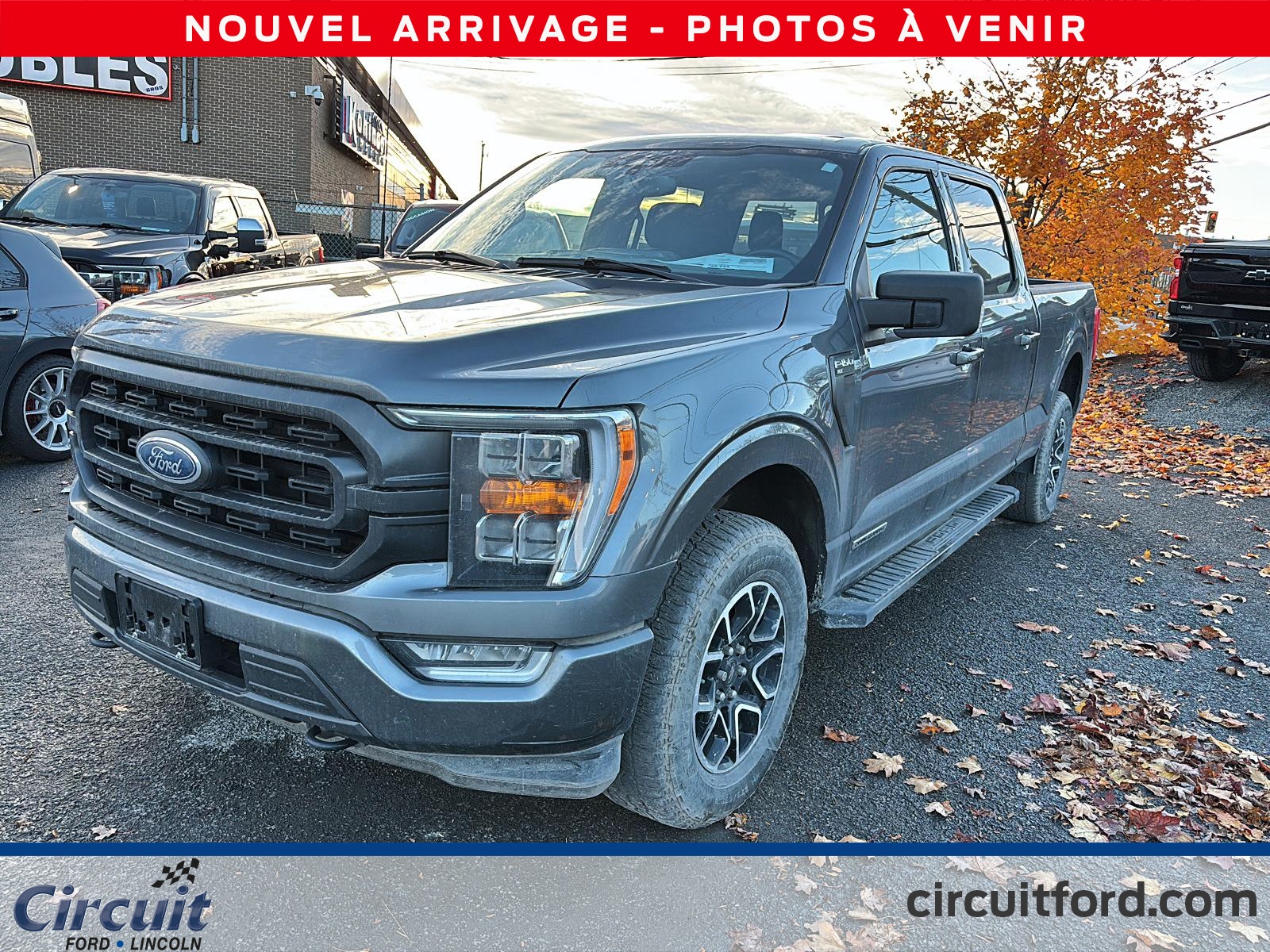 2023 Ford F-150