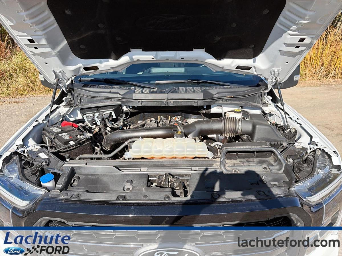 2024 Ford F-150 - Image 8