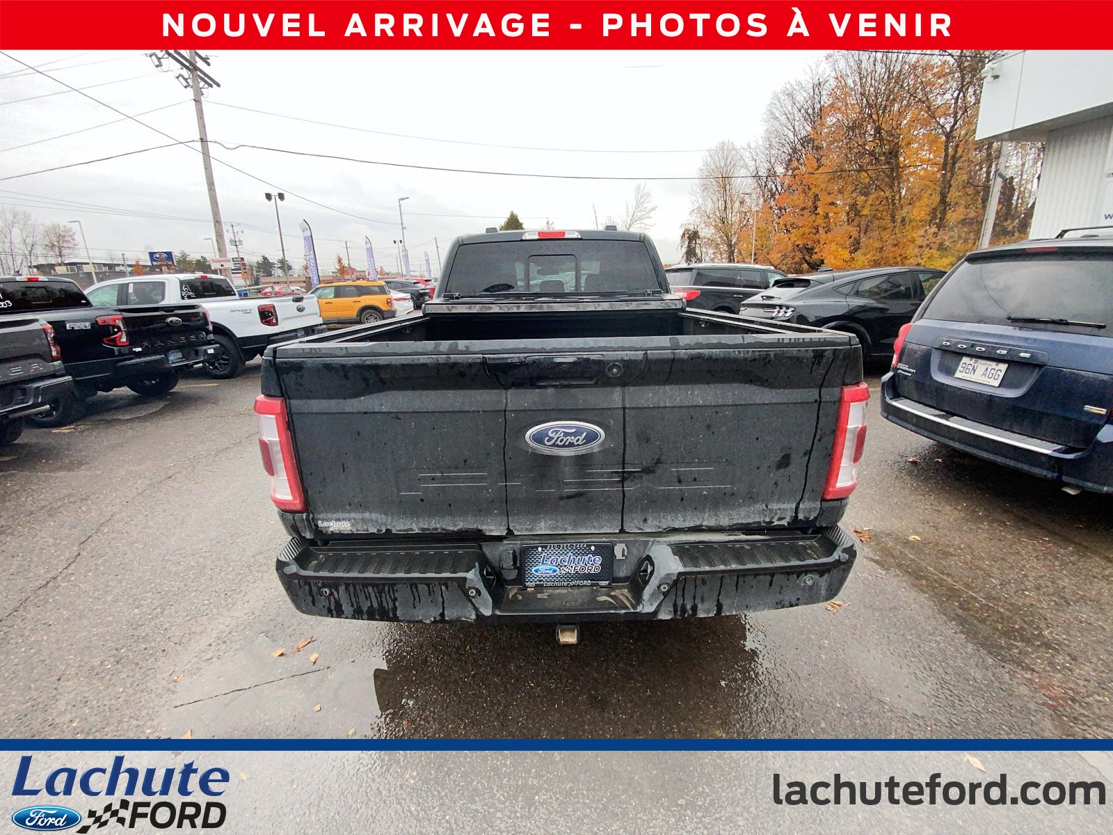 2023 Ford F-150 - Image 6